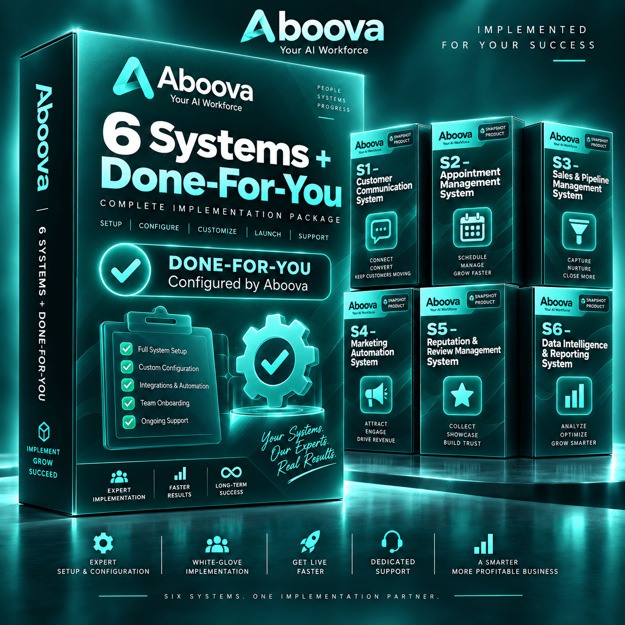 6 Systems + DFY