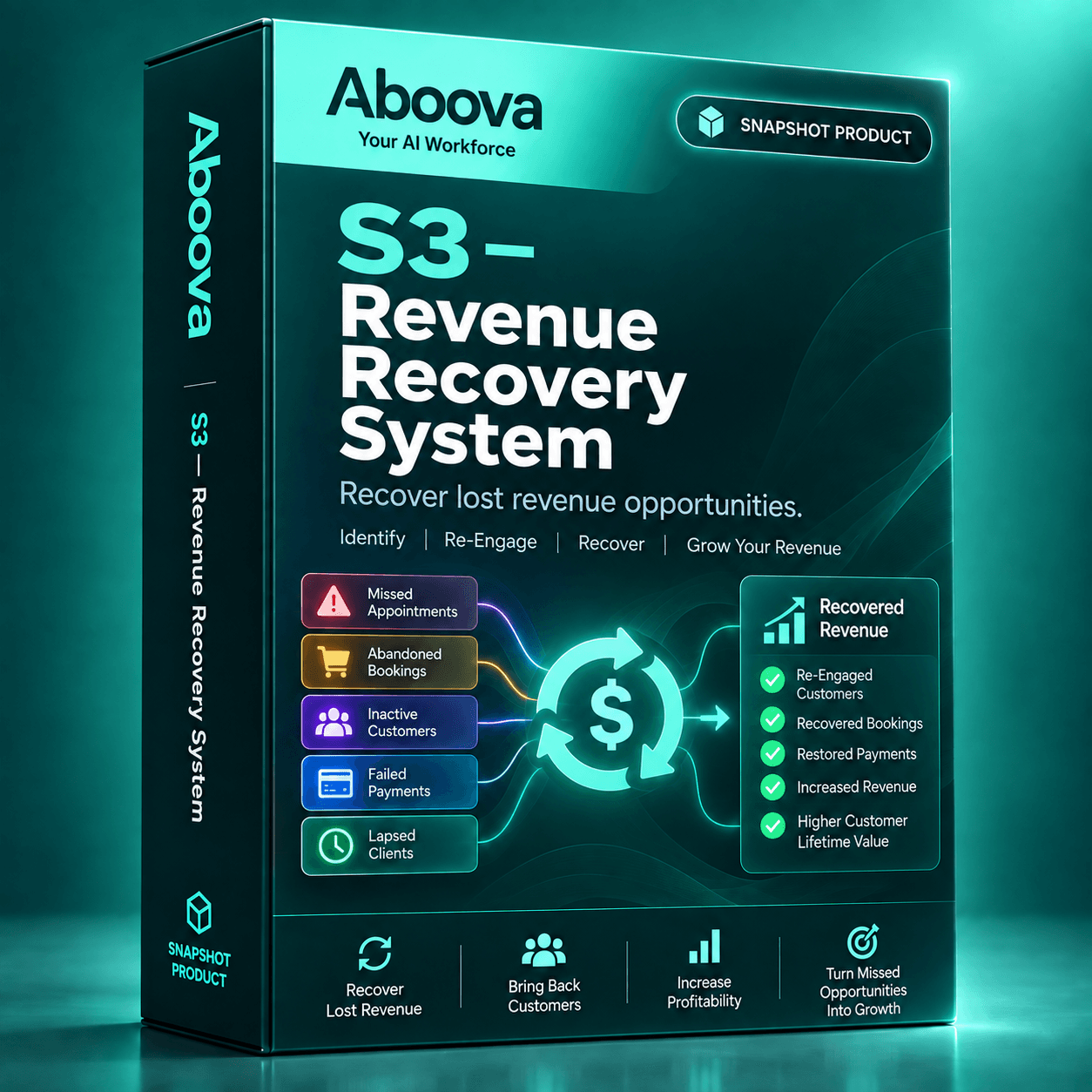 Revenue Recovery System